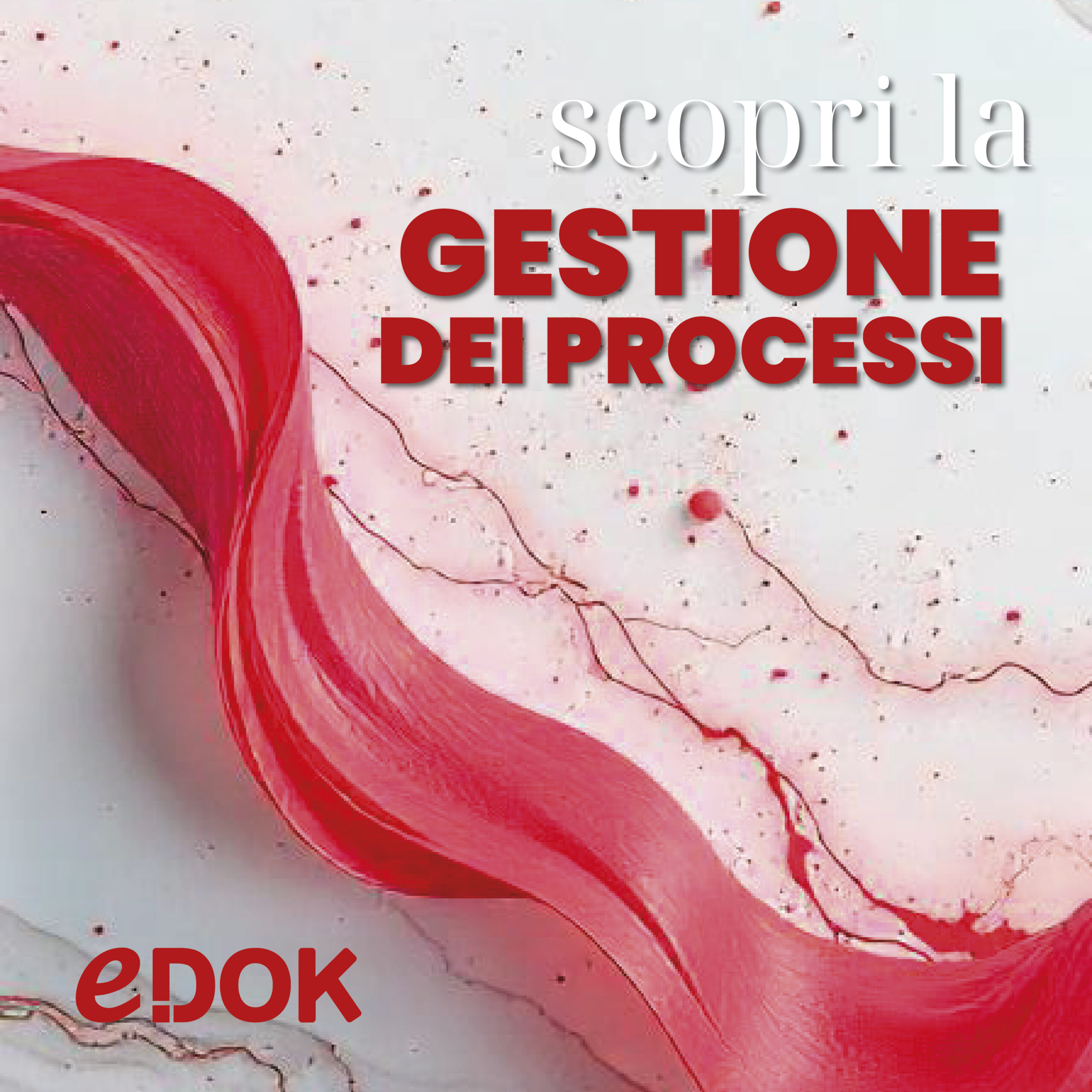 Edok Example Sviluppo Software Documentali per Aziende - eDOK